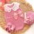 Rosa Viejo